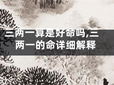 三两一算是好命吗,三两一的命详细解释