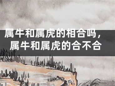 属牛和属虎的相合吗，属牛和属虎的合不合