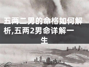 五两二男的命格如何解析,五两2男命详解一生