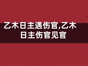乙木日主遇伤官,乙木日主伤官见官