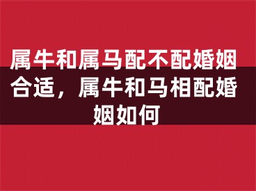属牛和属马配不配婚姻合适，属牛和马相配婚姻如何