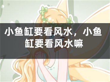 小鱼缸要看风水，小鱼缸要看风水嘛