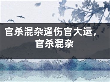 官杀混杂逢伤官大运，官杀混杂