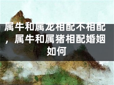 属牛和属龙相配不相配，属牛和属猪相配婚姻如何