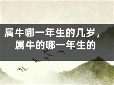 属牛哪一年生的几岁，属牛的哪一年生的