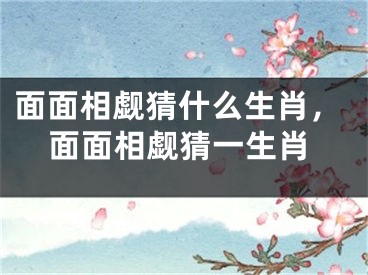 面面相觑猜什么生肖，面面相觑猜一生肖