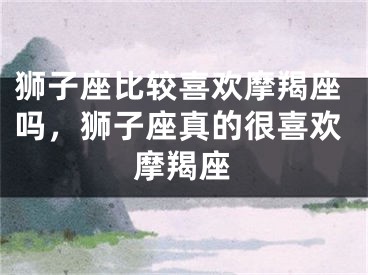 狮子座比较喜欢摩羯座吗，狮子座真的很喜欢摩羯座
