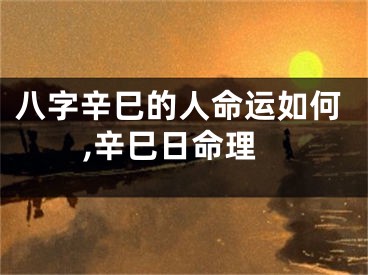 八字辛巳的人命运如何,辛巳日命理