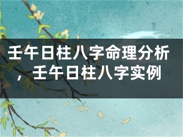 壬午日柱八字命理分析，壬午日柱八字实例