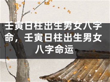 壬寅日柱出生男女八字命，壬寅日柱出生男女八字命运