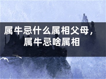 属牛忌什么属相父母，属牛忌啥属相