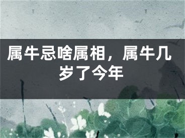 属牛忌啥属相，属牛几岁了今年