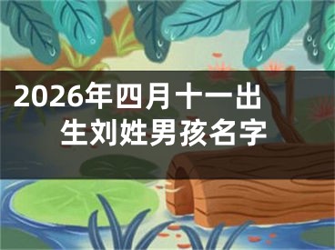 2026年四月十一出生刘姓男孩名字