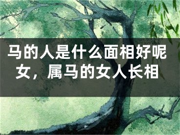 马的人是什么面相好呢女，属马的女人长相
