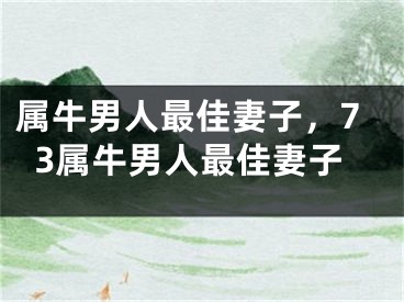 属牛男人最佳妻子，73属牛男人最佳妻子