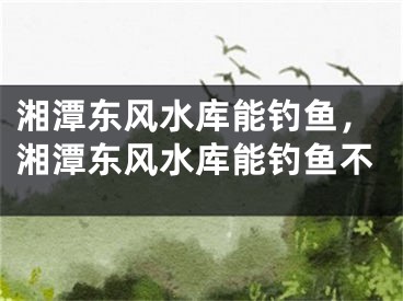 湘潭东风水库能钓鱼，湘潭东风水库能钓鱼不
