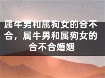 属牛男和属狗女的合不合，属牛男和属狗女的合不合婚姻