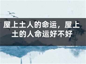屋上土人的命运，屋上土的人命运好不好