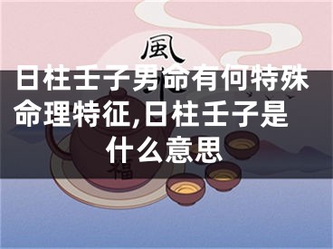 日柱壬子男命有何特殊命理特征,日柱壬子是什么意思