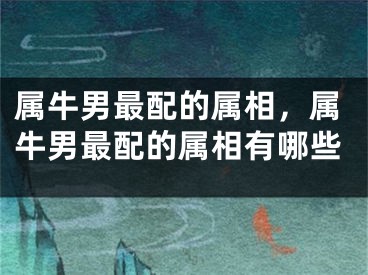 属牛男最配的属相，属牛男最配的属相有哪些