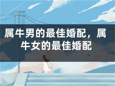 属牛男的最佳婚配，属牛女的最佳婚配