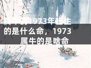 属牛的1973年出生的是什么命，1973属牛的是啥命