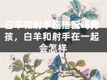 白羊和射手座搭配吗男孩,白羊和射手在一起会怎样