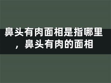 鼻头有肉面相是指哪里，鼻头有肉的面相