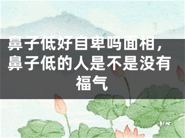 鼻子低好自卑吗面相，鼻子低的人是不是没有福气