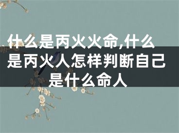什么是丙火火命,什么是丙火人怎样判断自己是什么命人
