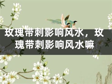 玫瑰带刺影响风水，玫瑰带刺影响风水嘛