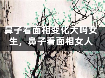 鼻子看面相变化大吗女生，鼻子看面相女人