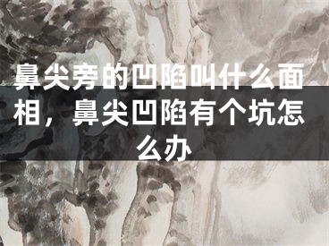 鼻尖旁的凹陷叫什么面相，鼻尖凹陷有个坑怎么办