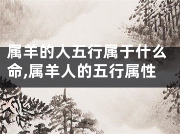 属羊的人五行属于什么命,属羊人的五行属性