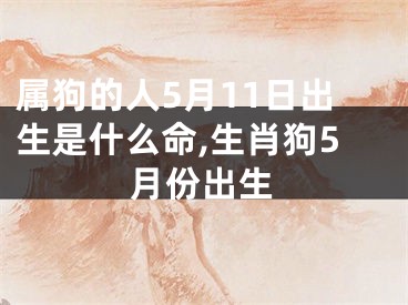 属狗的人5月11日出生是什么命,生肖狗5月份出生
