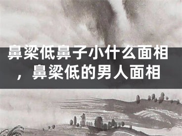 鼻梁低鼻子小什么面相，鼻梁低的男人面相