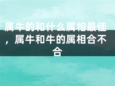 属牛的和什么属相最佳，属牛和牛的属相合不合