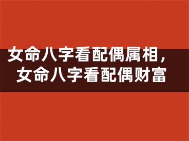 女命八字看配偶属相，女命八字看配偶财富
