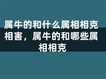属牛的和什么属相相克相害，属牛的和哪些属相相克