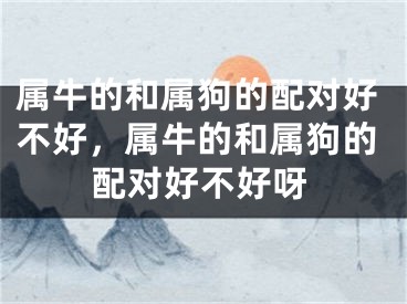 属牛的和属狗的配对好不好，属牛的和属狗的配对好不好呀
