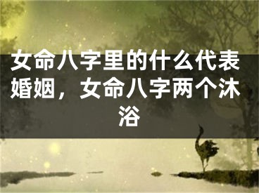 女命八字里的什么代表婚姻，女命八字两个沐浴