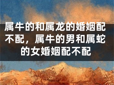属牛的和属龙的婚姻配不配，属牛的男和属蛇的女婚姻配不配