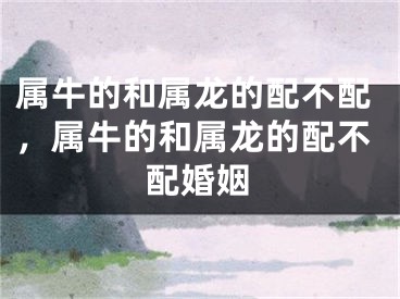 属牛的和属龙的配不配，属牛的和属龙的配不配婚姻