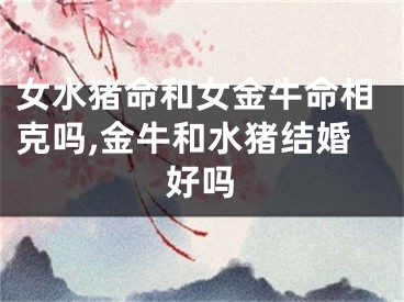 女水猪命和女金牛命相克吗,金牛和水猪结婚好吗
