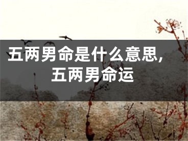 五两男命是什么意思,五两男命运
