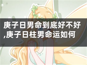 庚子日男命到底好不好,庚子日柱男命运如何