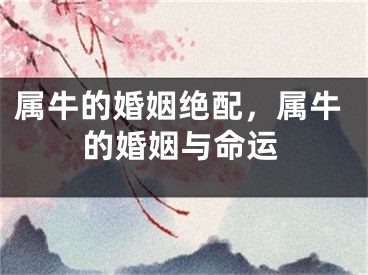 属牛的婚姻绝配，属牛的婚姻与命运