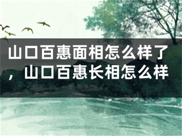 山口百惠面相怎么样了，山口百惠长相怎么样