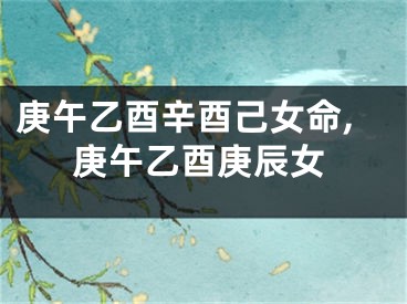 庚午乙酉辛酉己女命,庚午乙酉庚辰女