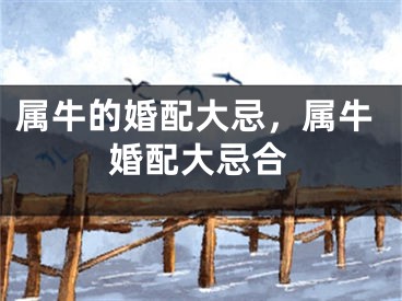 属牛的婚配大忌，属牛婚配大忌合
